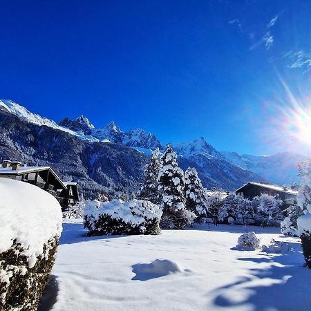 Chamonix Appartement Vue Mont Blanc Avec Jardin Exterior photo